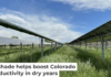 Solar panels on grasslands can generate electricity and useful forage or wildlife habitat. Matthew Sturchio, CC BY-ND